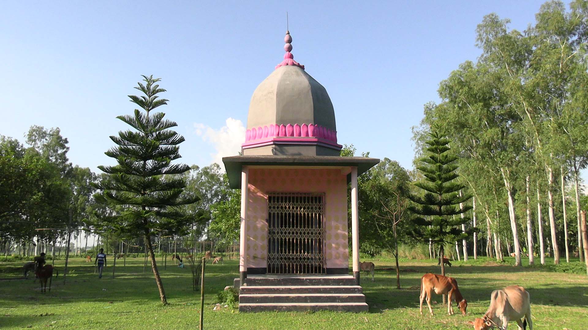 Photo_TKG_(2)-Durga_Puja_celebrated_at_Rasik_Roy_Jiu_Temple_after_16_long_years_-_Hindus_are_filled_with_excitement