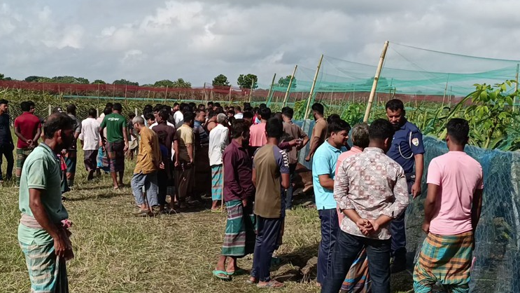 ড্রাগন বাগানের বৈদ্যুতিক তারে জড়িয়ে গরুসহ কৃষকের মৃত্যু