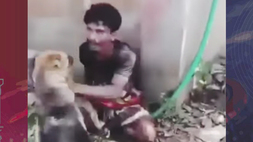 কুমিল্লায় কুকুর লেলিয়ে দিয়ে অমানবিক নির্যাতন