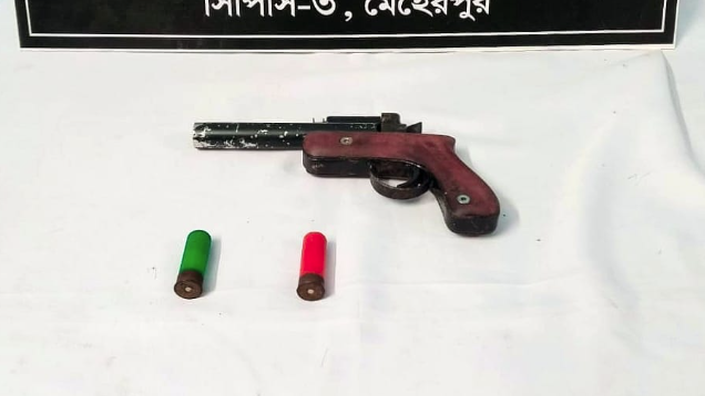 মেহেরপুরে র‍্যাবের অভিযানে অস্ত্রসহ আটক ১