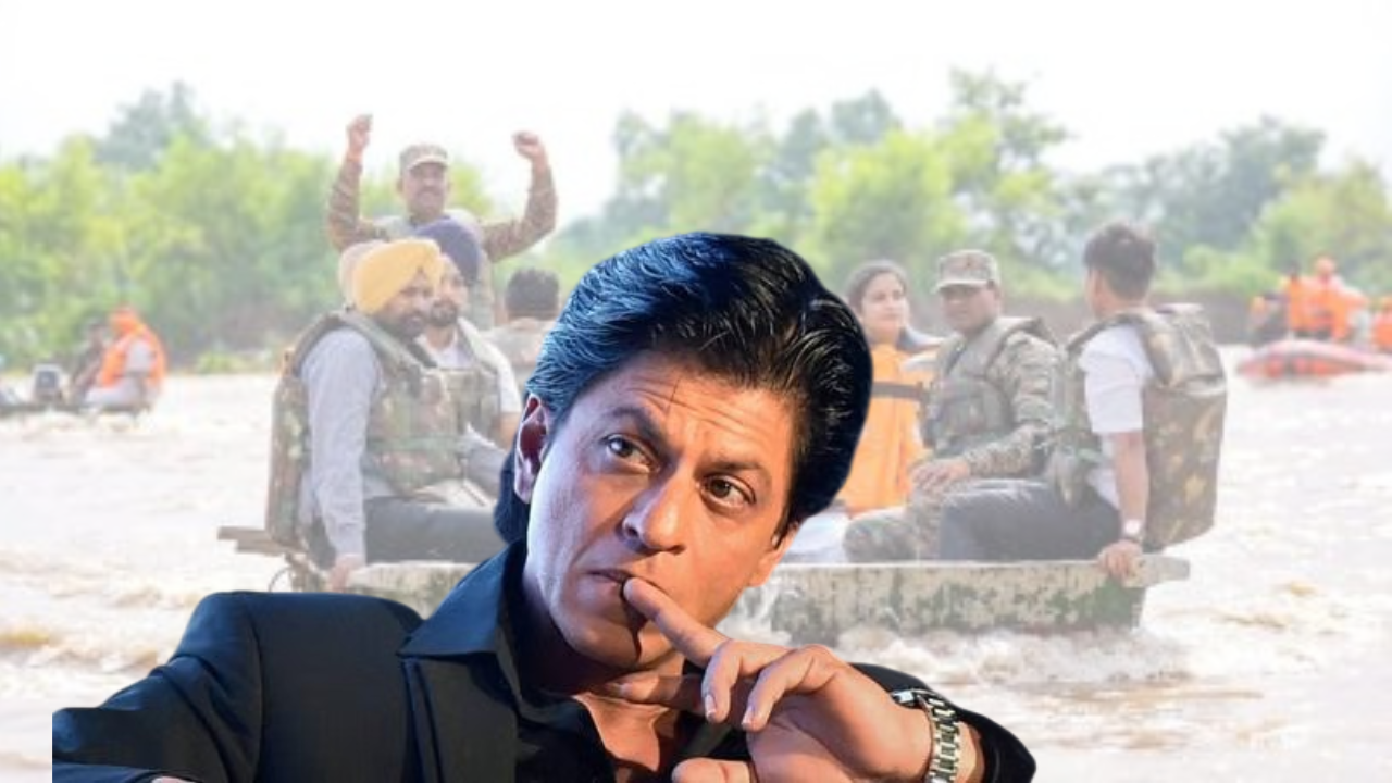 ‘বন্যায় ক্ষতিগ্রস্তদের জন্য মন কাঁদছে’ পাঞ্জাবের বন্যা নিয়ে শাহরুখ