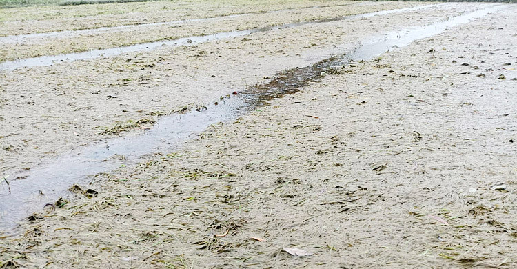 agri-flood-20240824172811 agri-flood-20240824172811