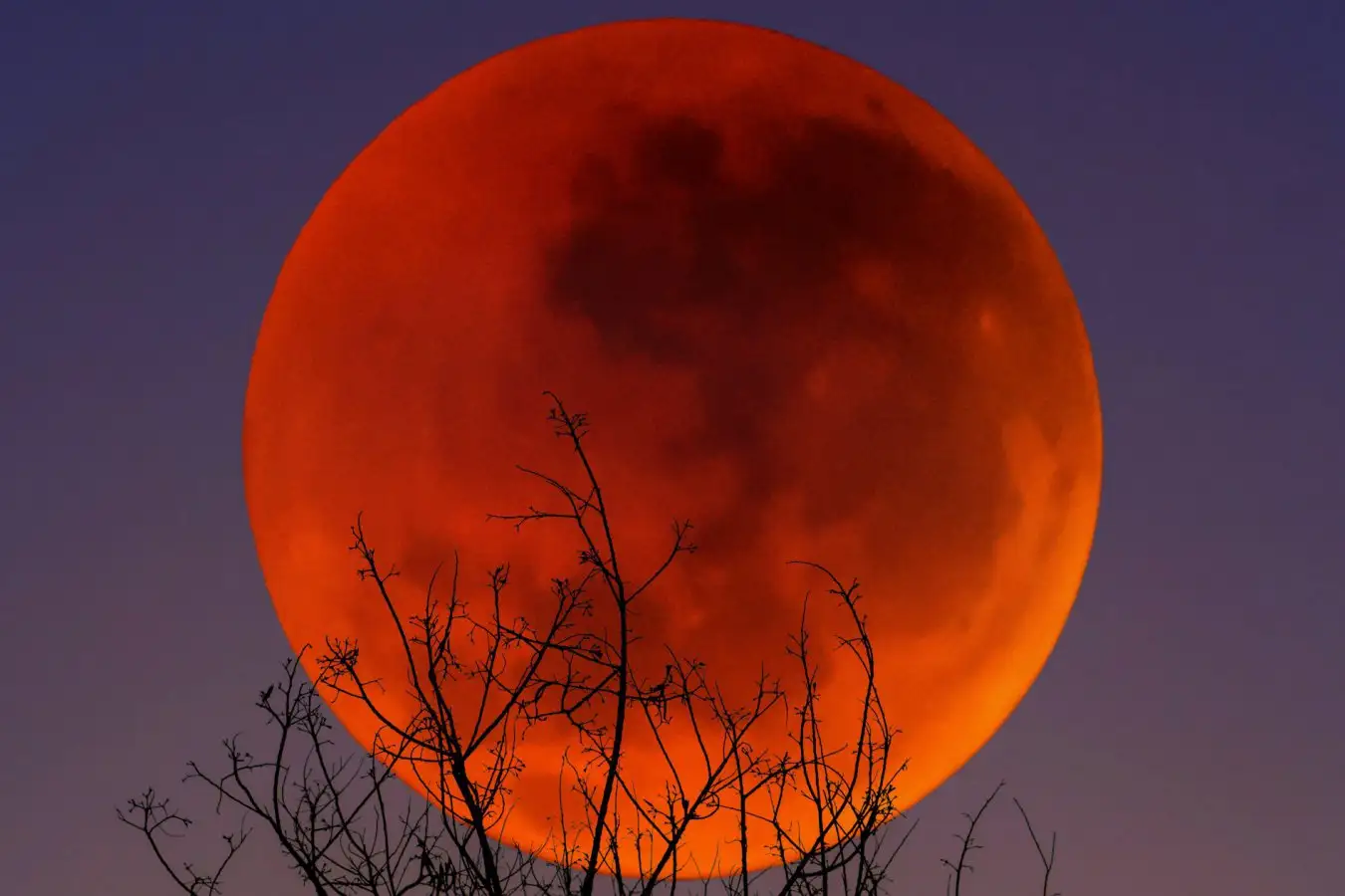 blood_moon blood_moon