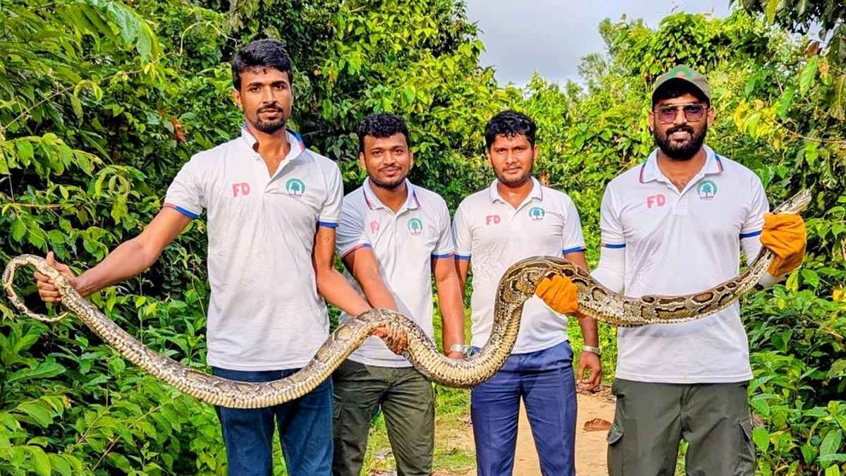  উখিয়ায় ১৫ ফুট লম্বা অজগর উদ্ধার 