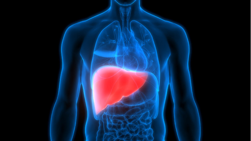 fatty_liver