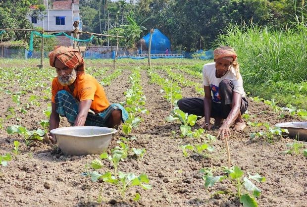 krisok_original_1730357343 krisok_original_1730357343