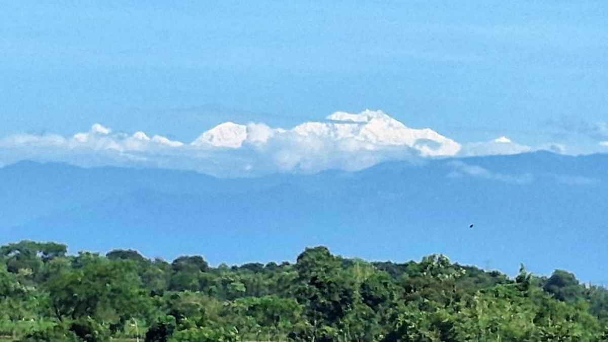 কাঞ্চনজঙ্ঘা আর সাদা কাশফুলের যুগল সৌন্দর্যে মুগ্ধ পর্যটকরা