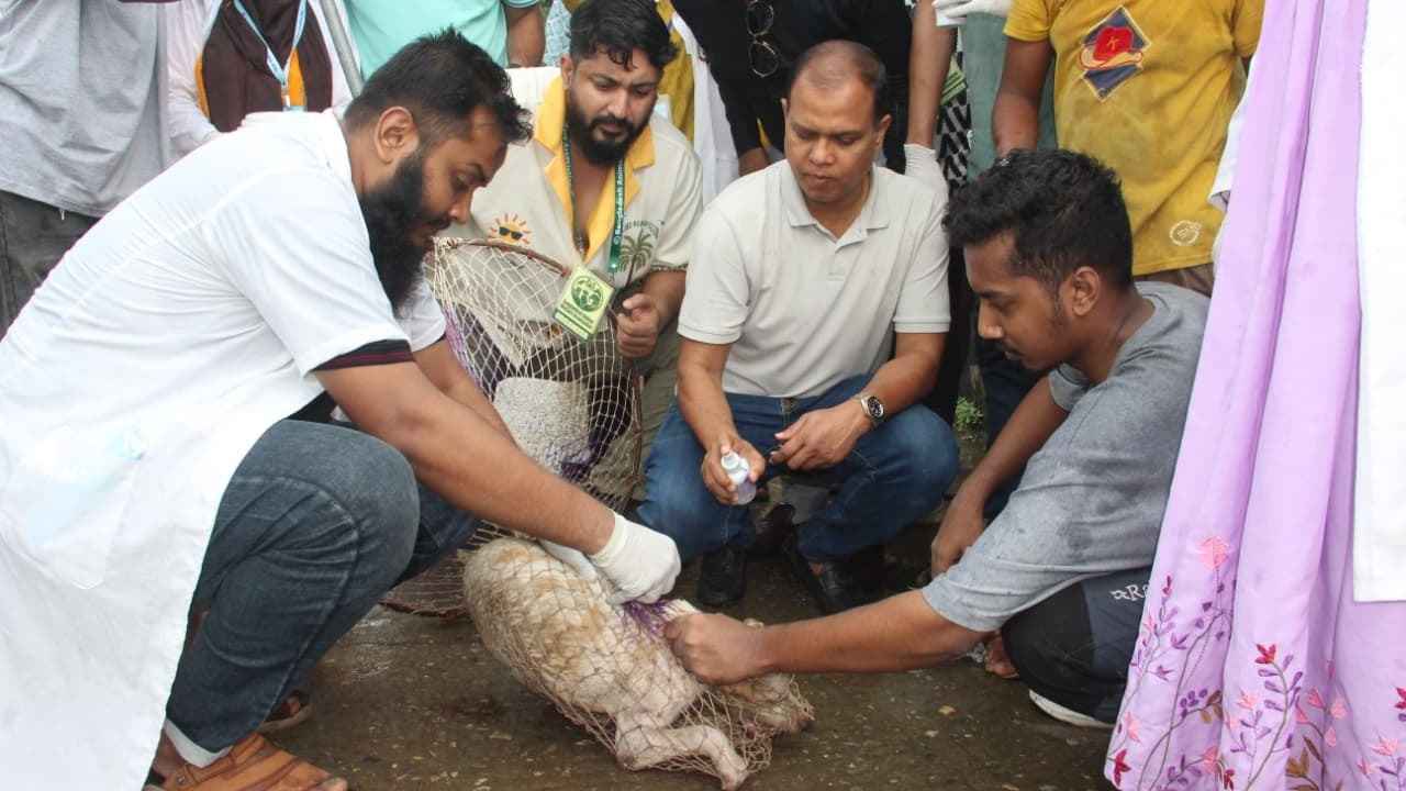 দেড় হাজার কুকুর-বিড়াল পেল জলাতঙ্কের টিকা
