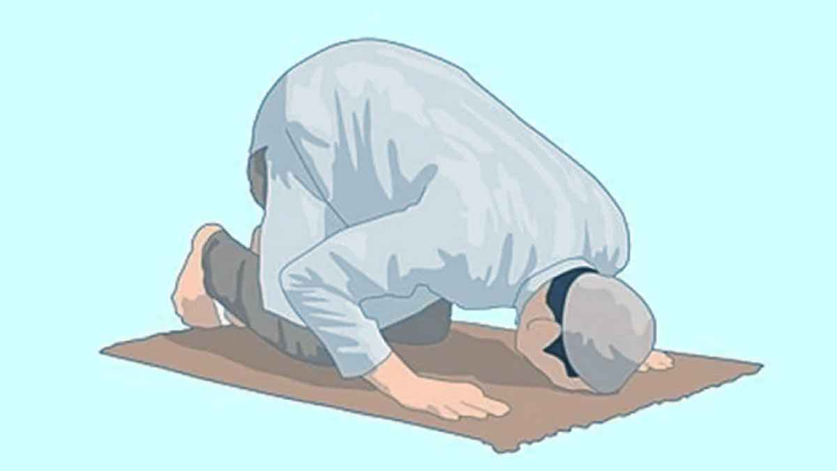 নামাজে রুকু ও সেজদার সঠিক নিয়ম