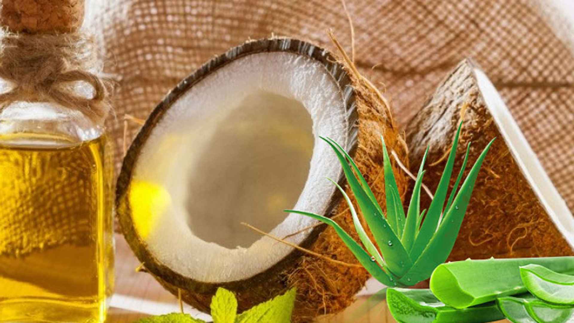 অ্যালোভেরা জেল নাকি নারকেল তেল— শুষ্ক ত্বকের জন্য কোনটি ভালো?