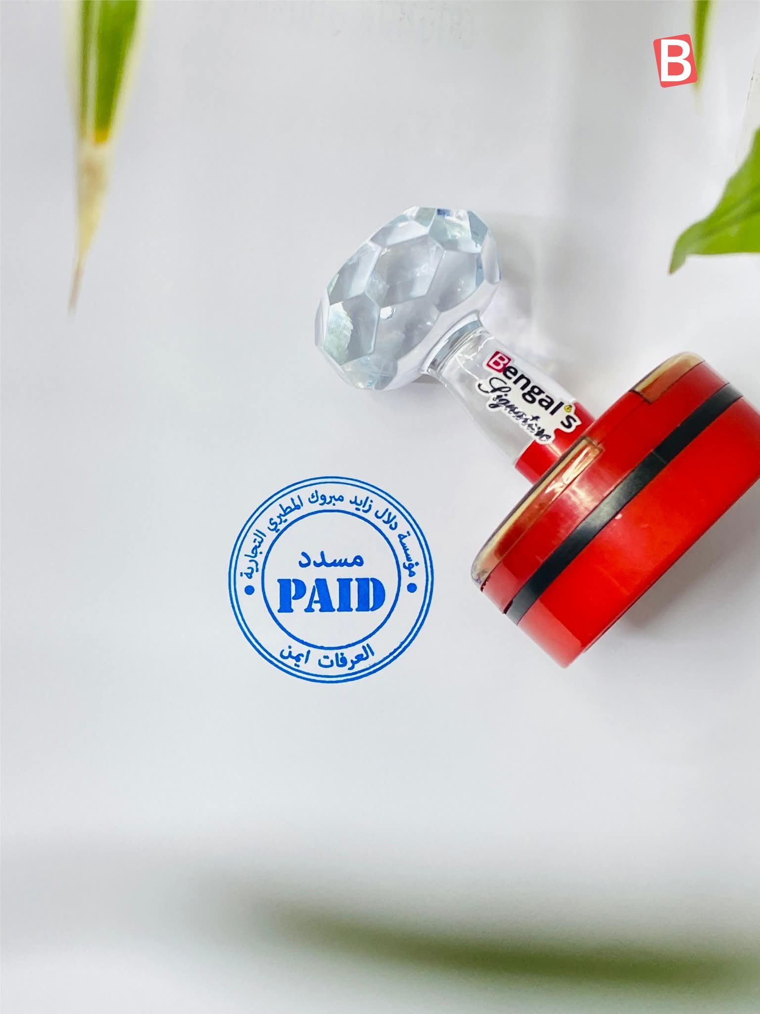 thumbnail_1000121748