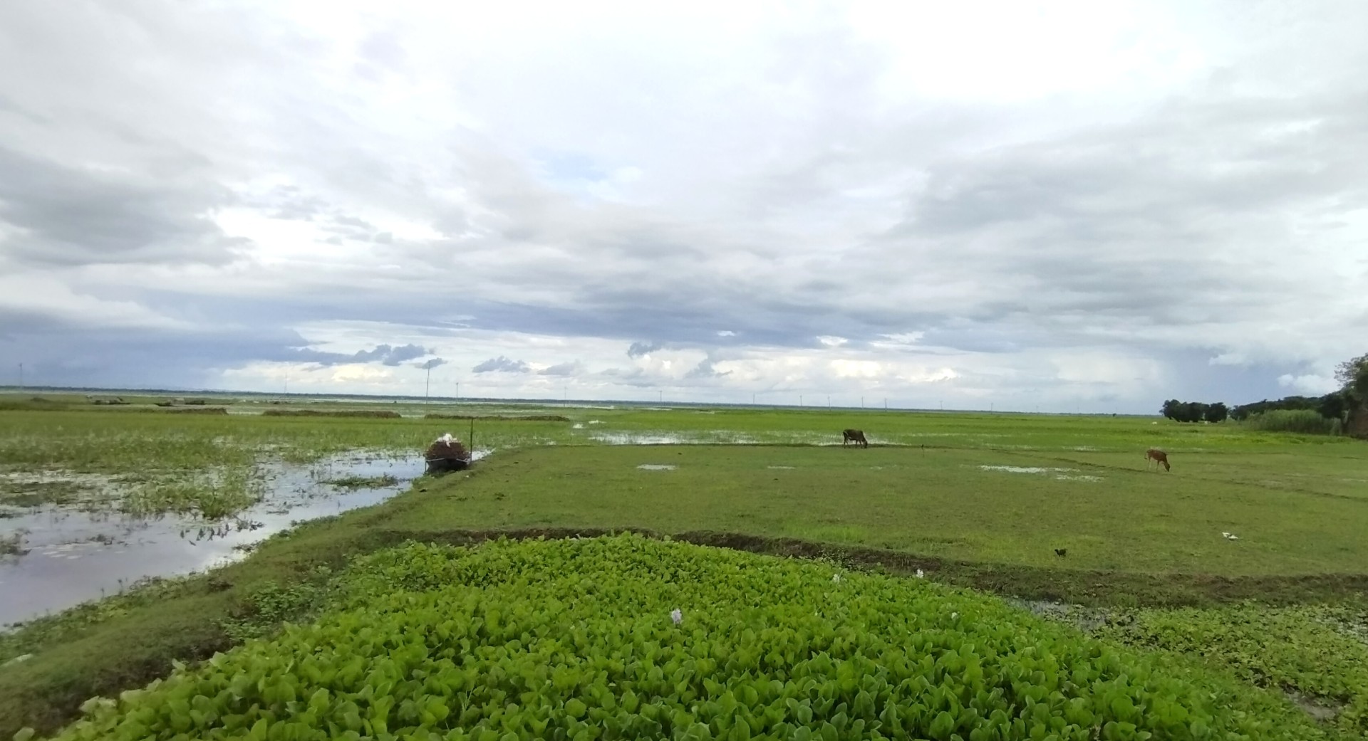 thumbnail_1000160783