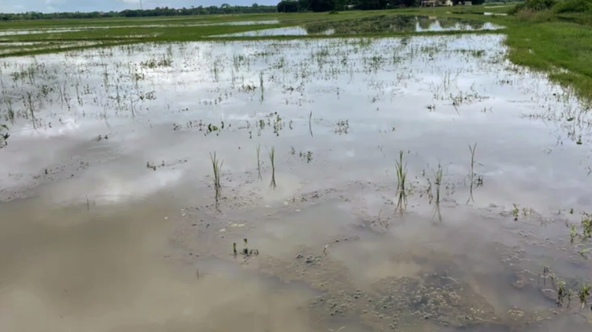 thumbnail_1000160789