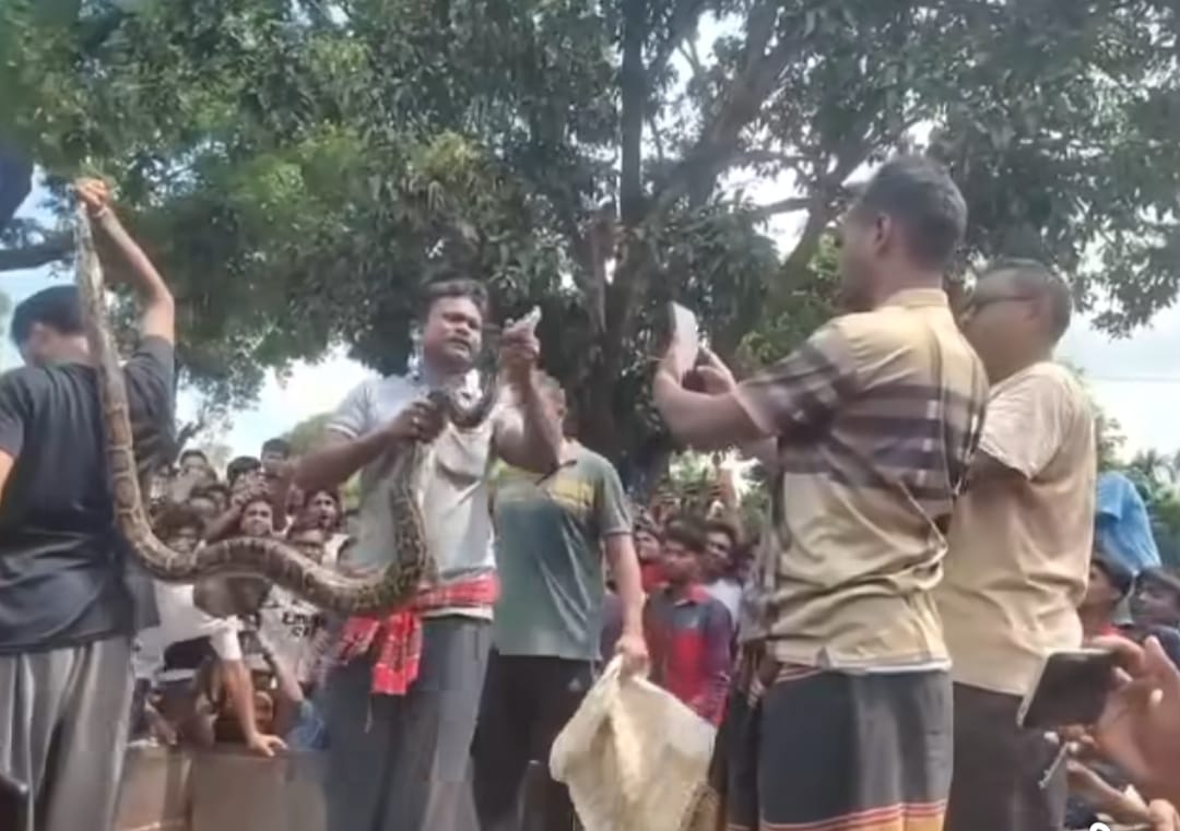 thumbnail_IMG-20250905-WA0000