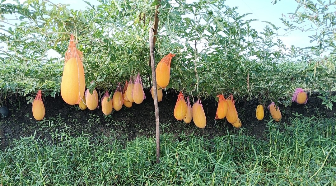 thumbnail_IMG_20250914_201045