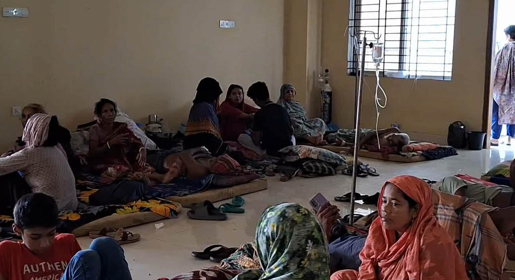 thumbnail_feni_dengu_pic_4