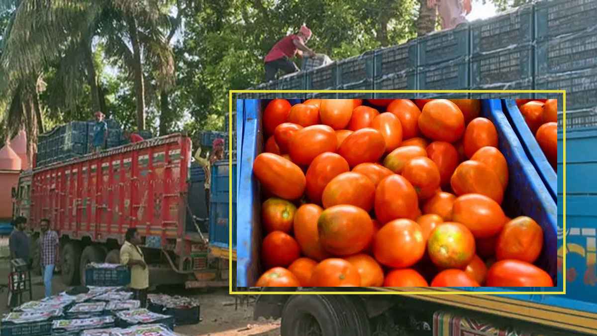 তিন বছর পর সোনামসজিদ স্থলবন্দর দিয়ে টমেটো আমদানি