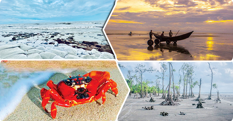 tour-cover-20240203132442