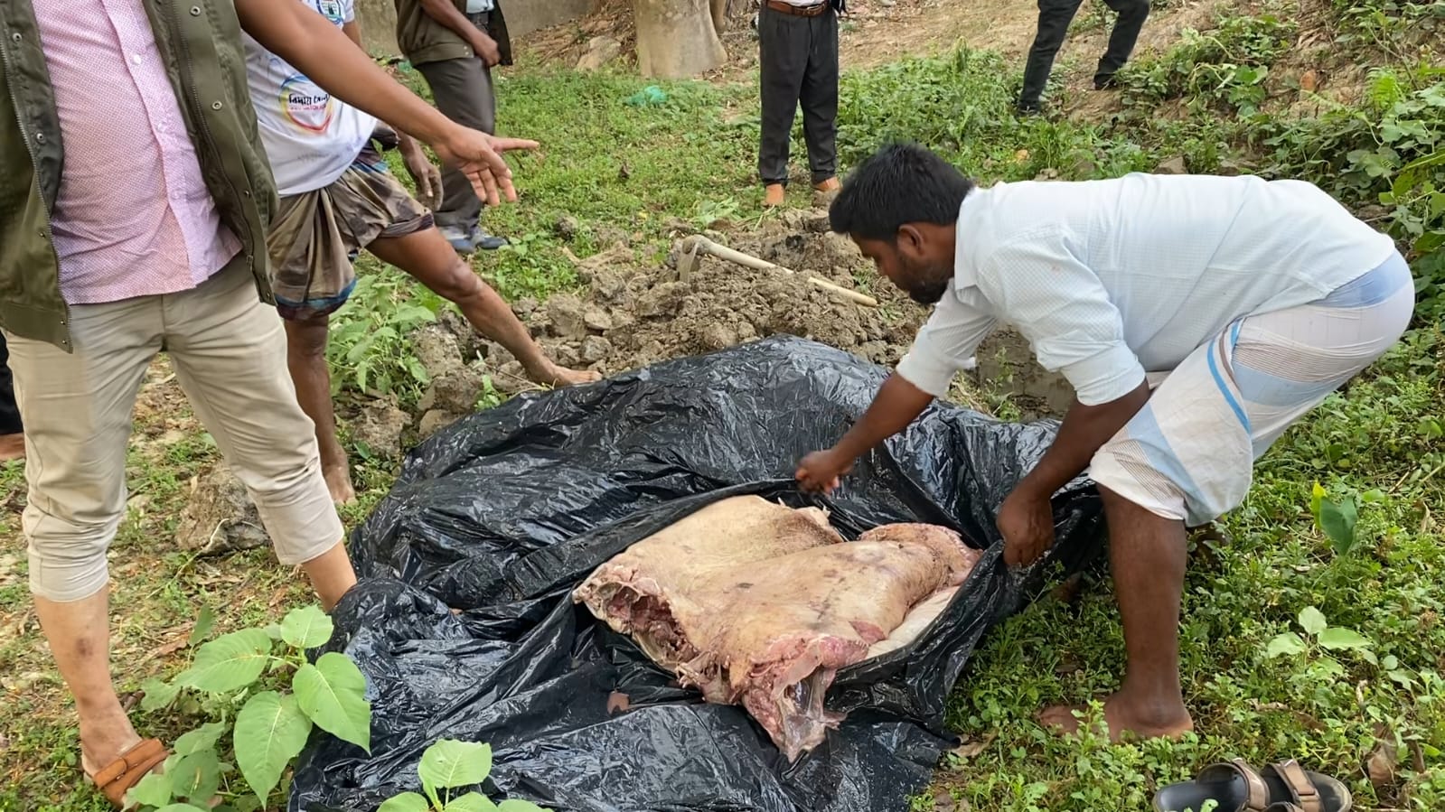 0a7a7b41-f2a9-474c-9820-e97e3d8f3840