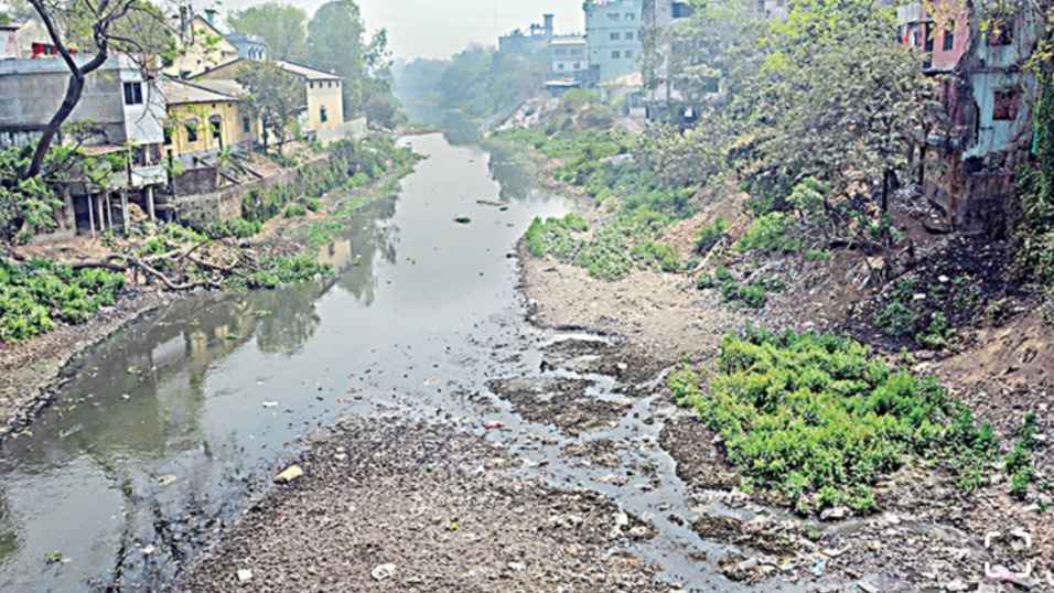 করতোয়ার বুকে দূষণের মহোৎসব, বিপন্ন জলজ প্রাণ