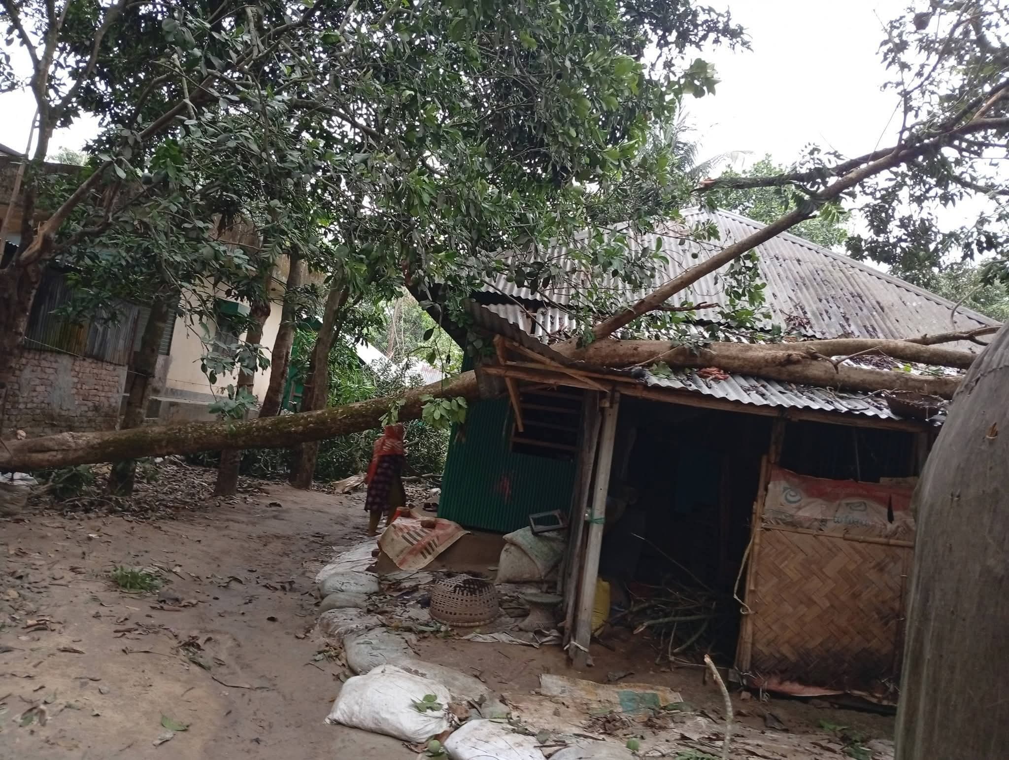 11b4a50c-e9ff-4b62-99a0-791f7423baae