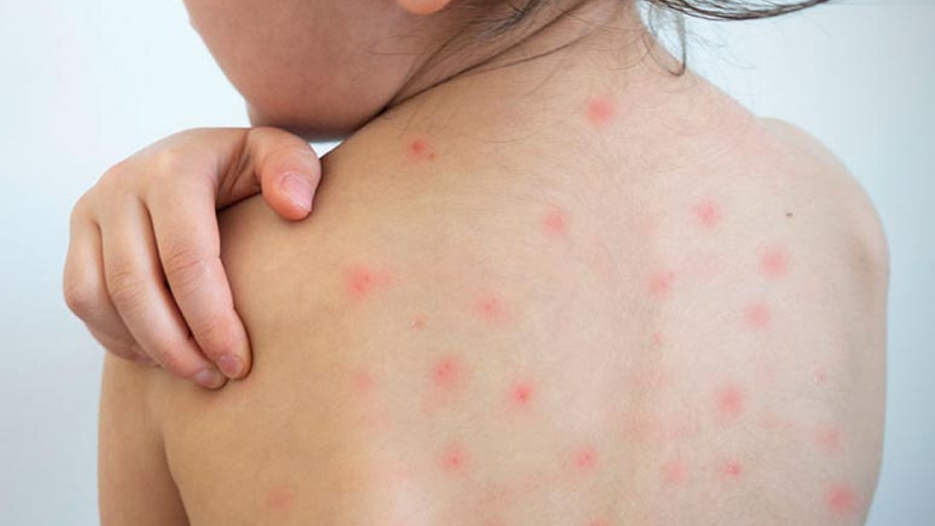 12758307c461220622a5475c214c8eb2782bc4b6a29e8436