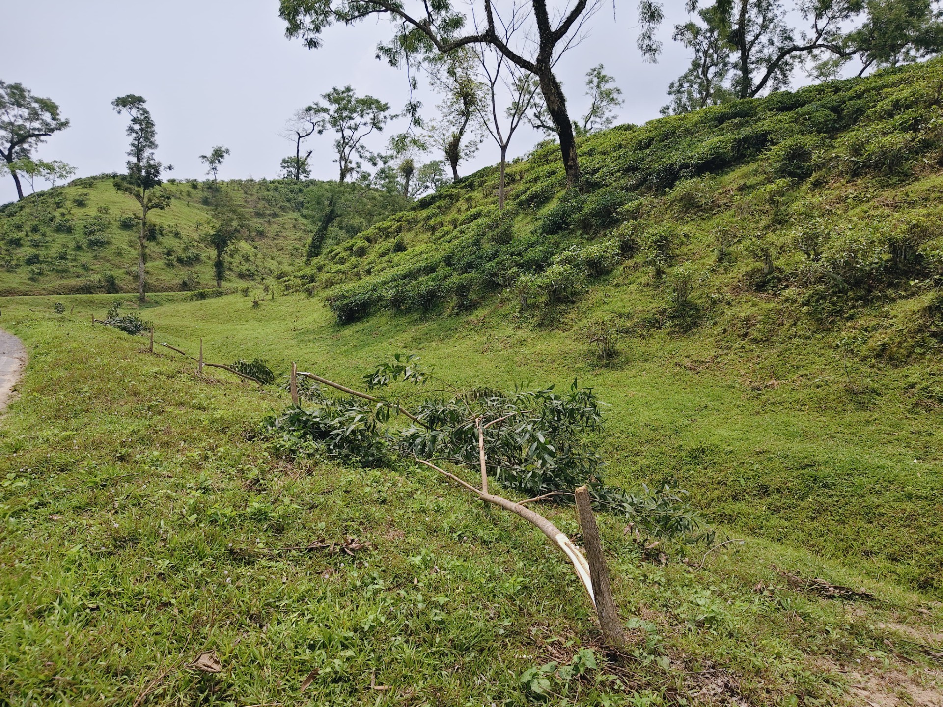 135bb867-d3df-4284-a345-396e79311b0f