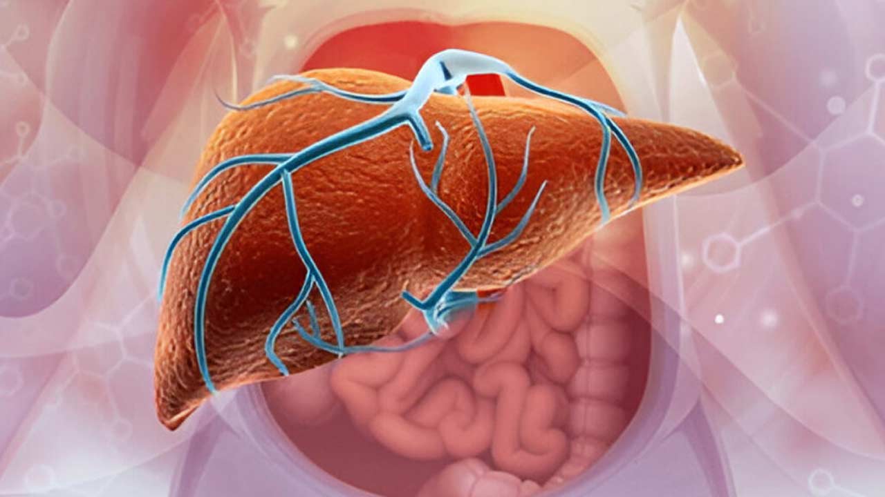 1776150751_liver-lead-jpg-2