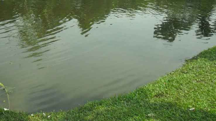 চকরিয়ায় পুকুরে ডুবে দুই শিশুর মৃত্যু