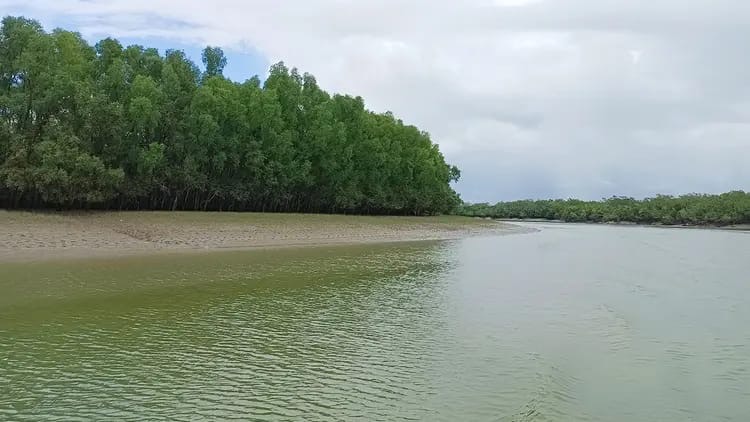 1d54eb79-41e9-44e8-8d5c-3ab9fe5f4eff