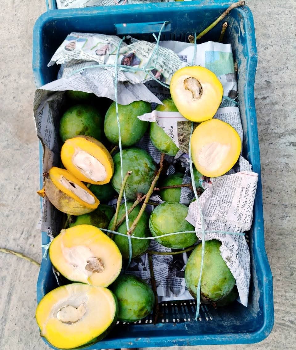 1f3674ef-3623-425c-a159-0181ce7a5923