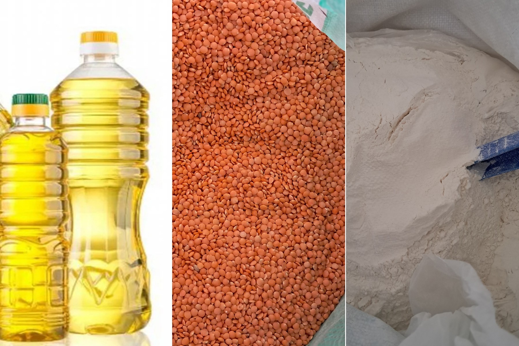 1fd9b25b-346f-47c2-8362-d41b6b6c5a2e