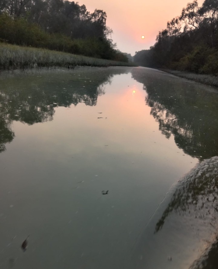 24e3b35d-32d7-497c-b691-e322320ccca5