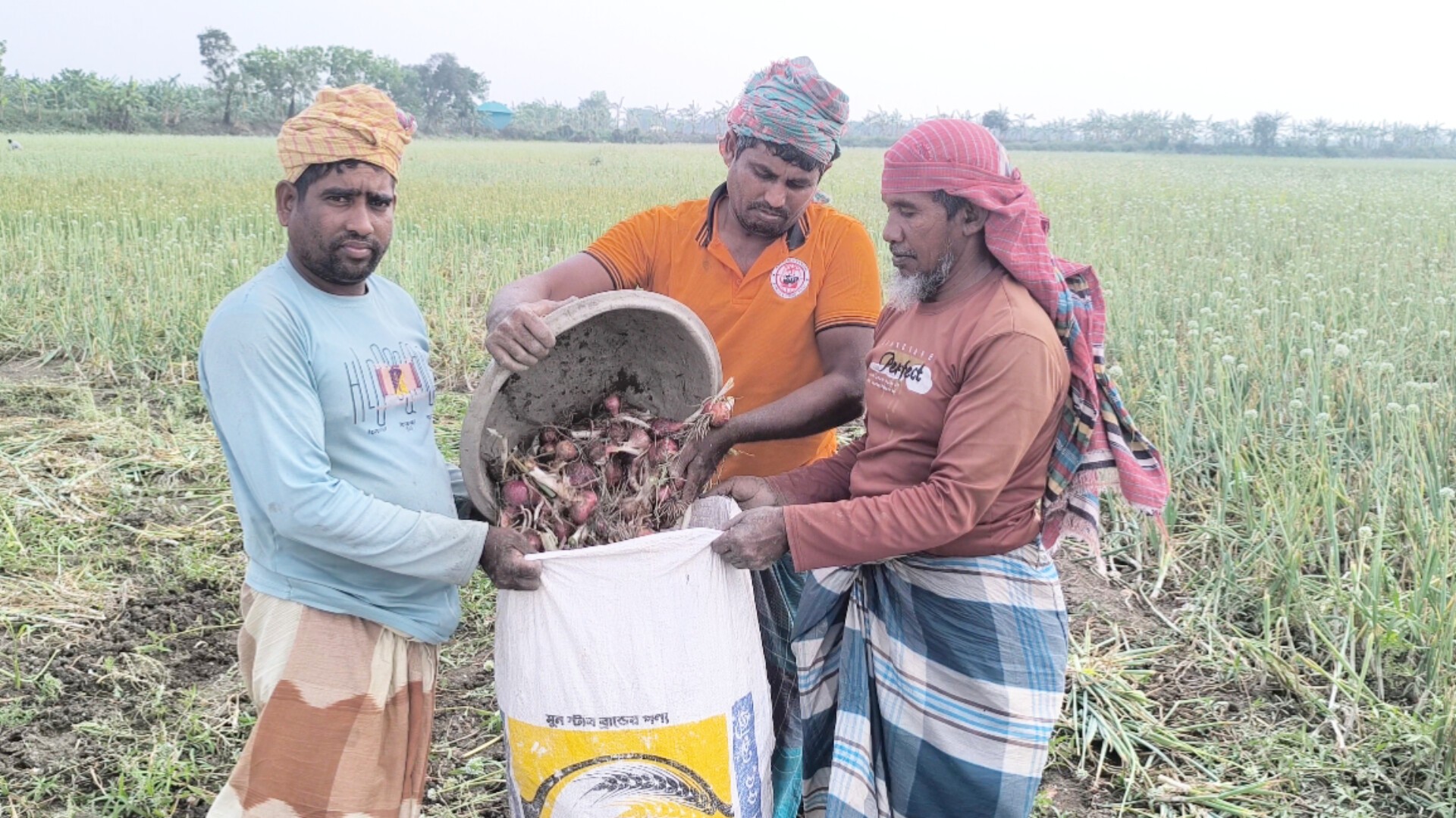 2585089c-ada6-4009-a85b-979b3585496e 2585089c-ada6-4009-a85b-979b3585496e