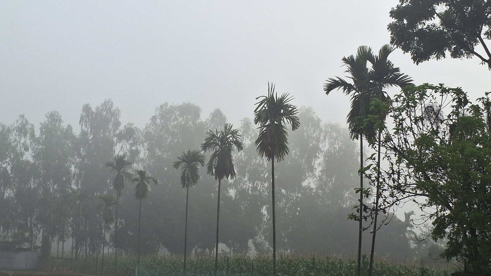 25ec5cde-c2fc-4113-b367-1289d413bcc4