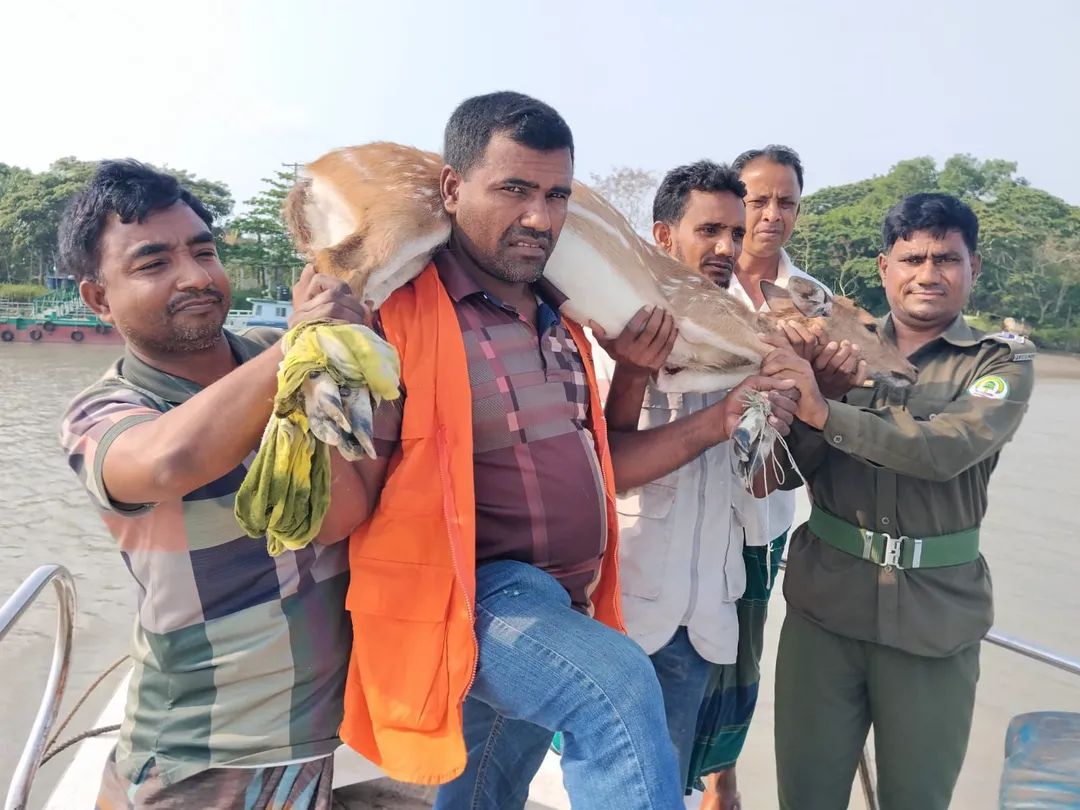 27e1e32a-d368-4d51-baf2-99d2f87e216a