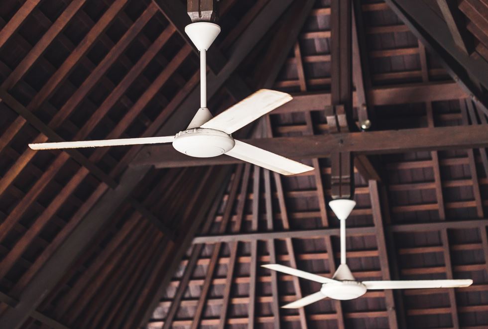 3-blade-ceiling-fan 3-blade-ceiling-fan
