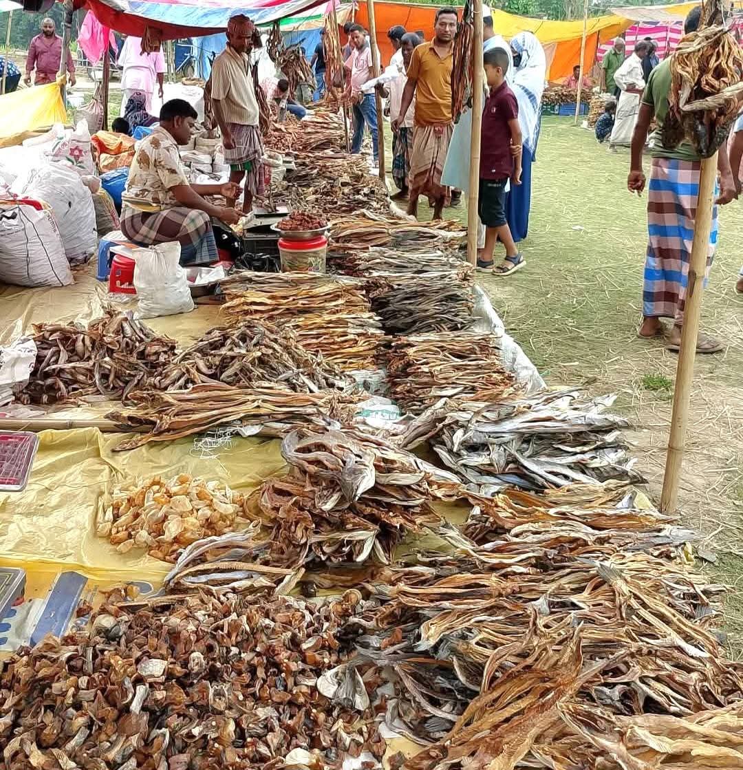 3256469c-f8d0-4196-92aa-5f42873087b1