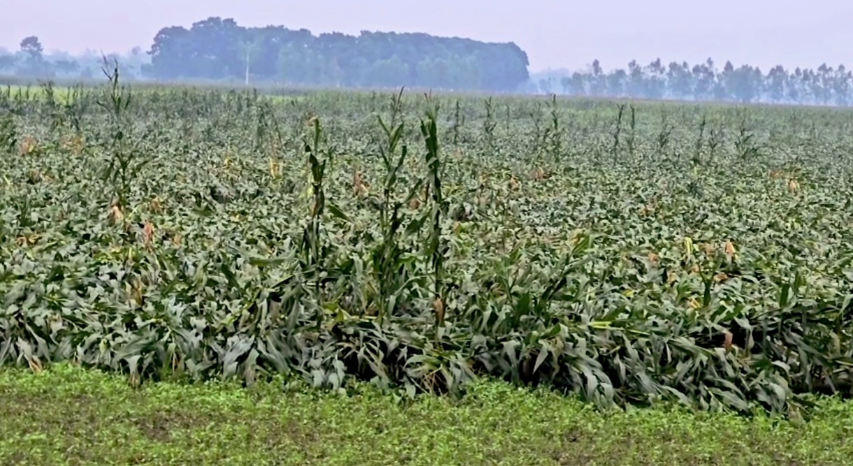 32b7c663-a193-4850-b44c-8c5e9f75d70b