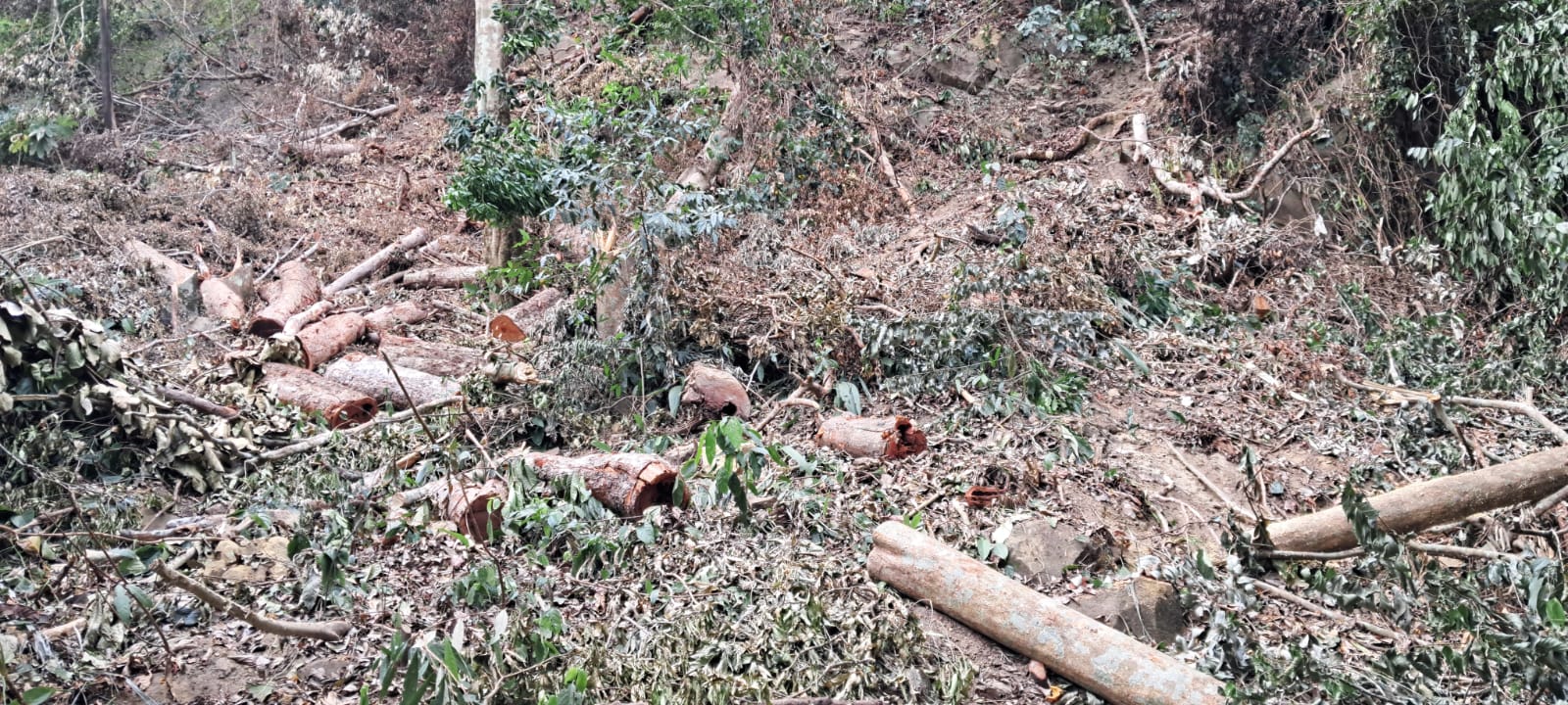 32f462f9-689f-41c0-8547-593c28097bf5