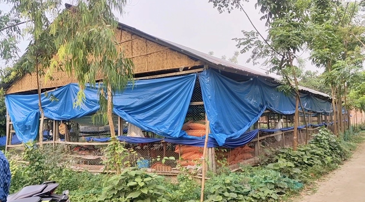 47b701b9-22c5-4fc5-8b1f-4d62555e7f61