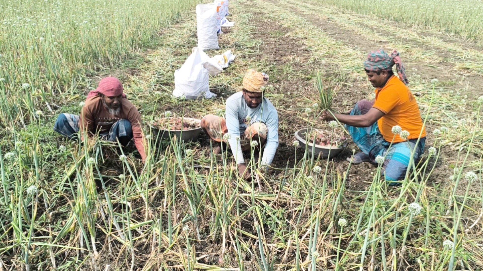 4c7f7b51-a295-4117-b55c-551382b2391a 4c7f7b51-a295-4117-b55c-551382b2391a