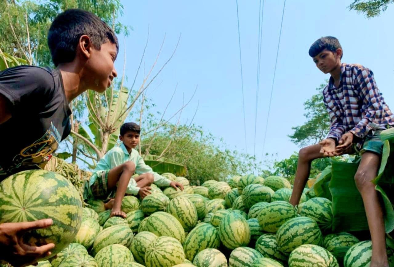 576e92e6-6d07-4636-ac9b-8350a83cbc19 576e92e6-6d07-4636-ac9b-8350a83cbc19