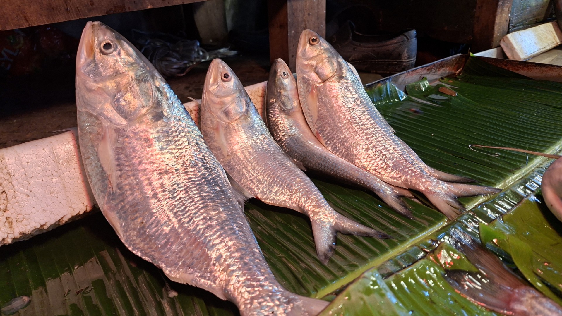 59ac3c10-1be5-48b7-a86d-647be5002c48