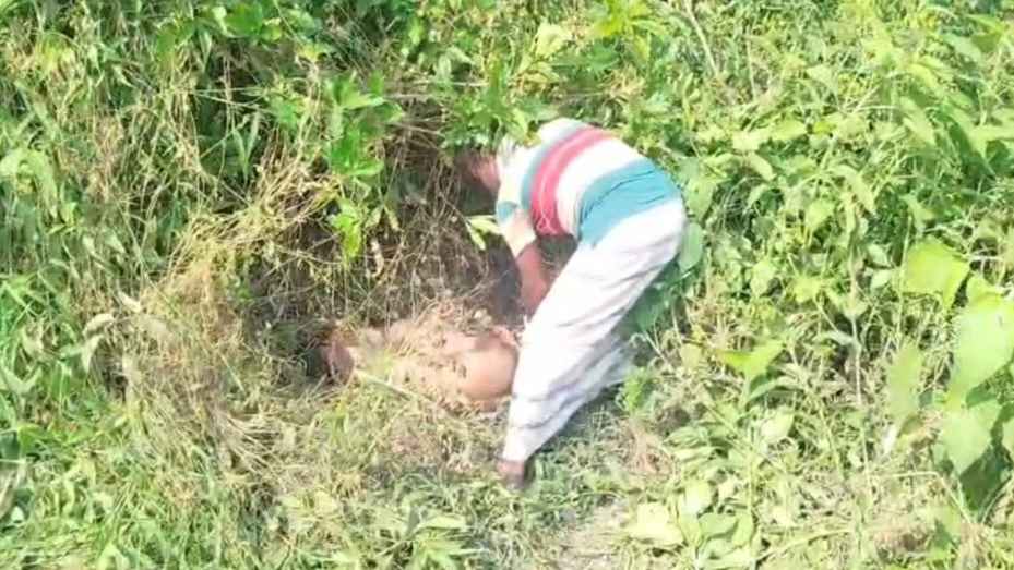 মানিকগঞ্জে রাস্তার পাশ থেকে বস্তাবন্দি রিকশাচালকের মরদেহ উদ্ধার