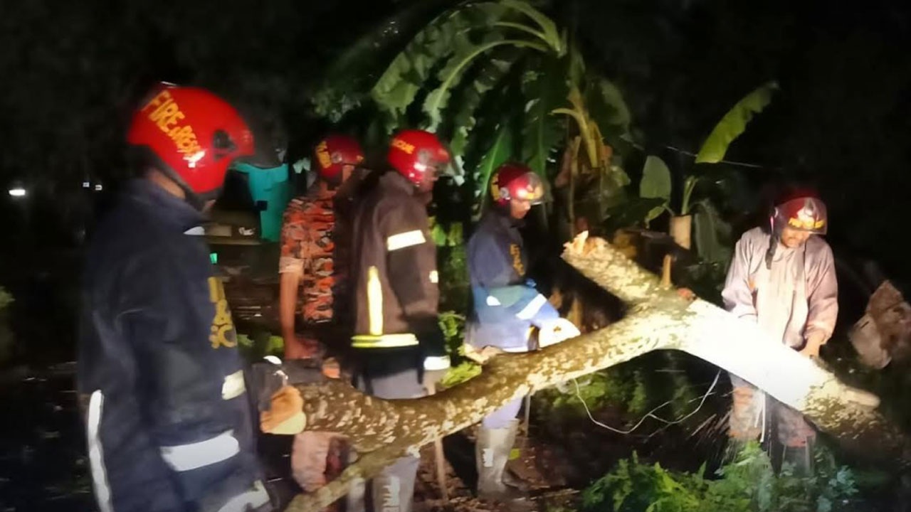 61d3cd24-83b7-4a81-a376-ec2f82836da4