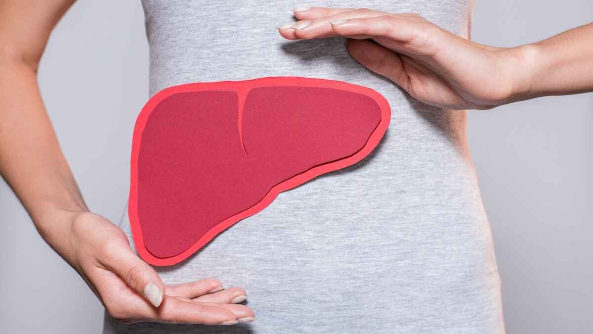 পেট ও লিভার কি সত্যিই সুস্থ? শরীর ভালো থাকার ৭টি লক্ষণ মিলিয়ে নিন