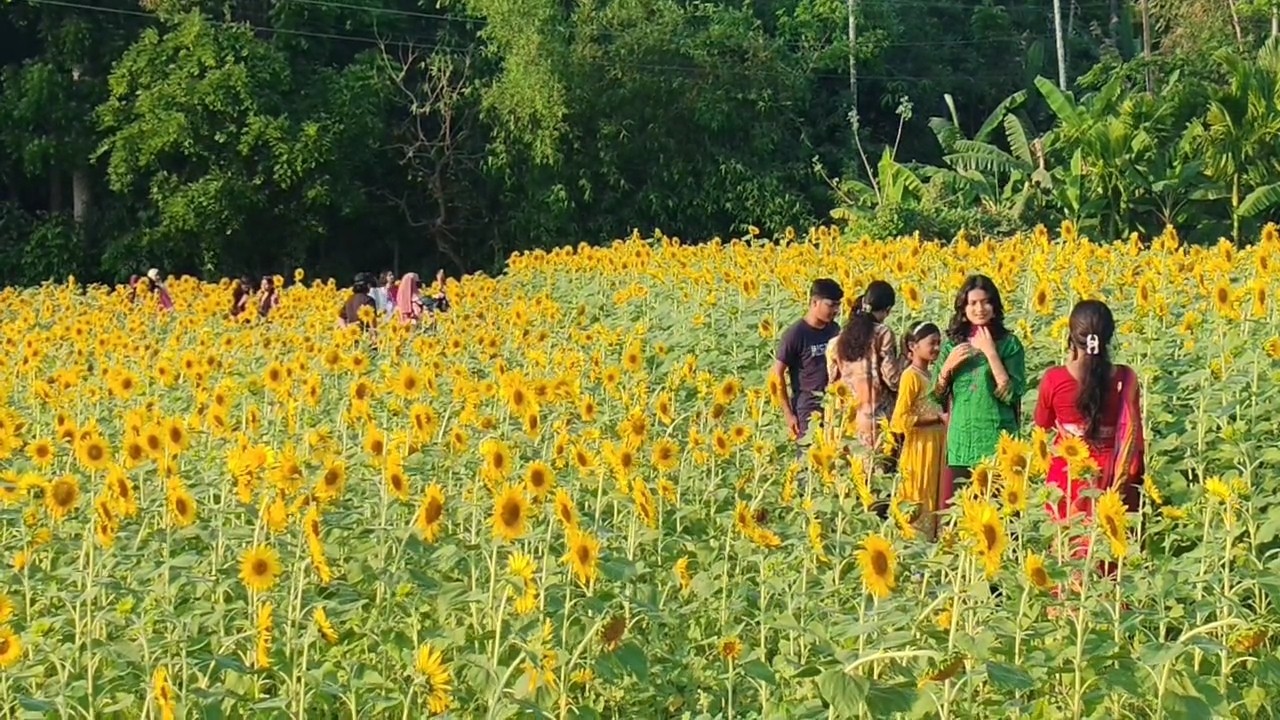 67f553ed-2539-468e-a5b1-f2564cf39b7f