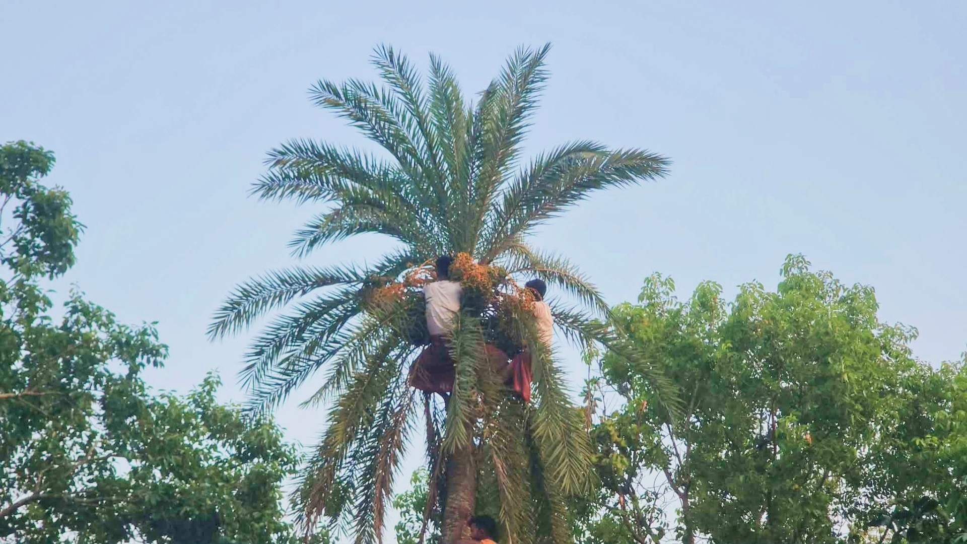 6b9b31d6-36b9-4ab7-b77d-bac90879e8f4 6b9b31d6-36b9-4ab7-b77d-bac90879e8f4