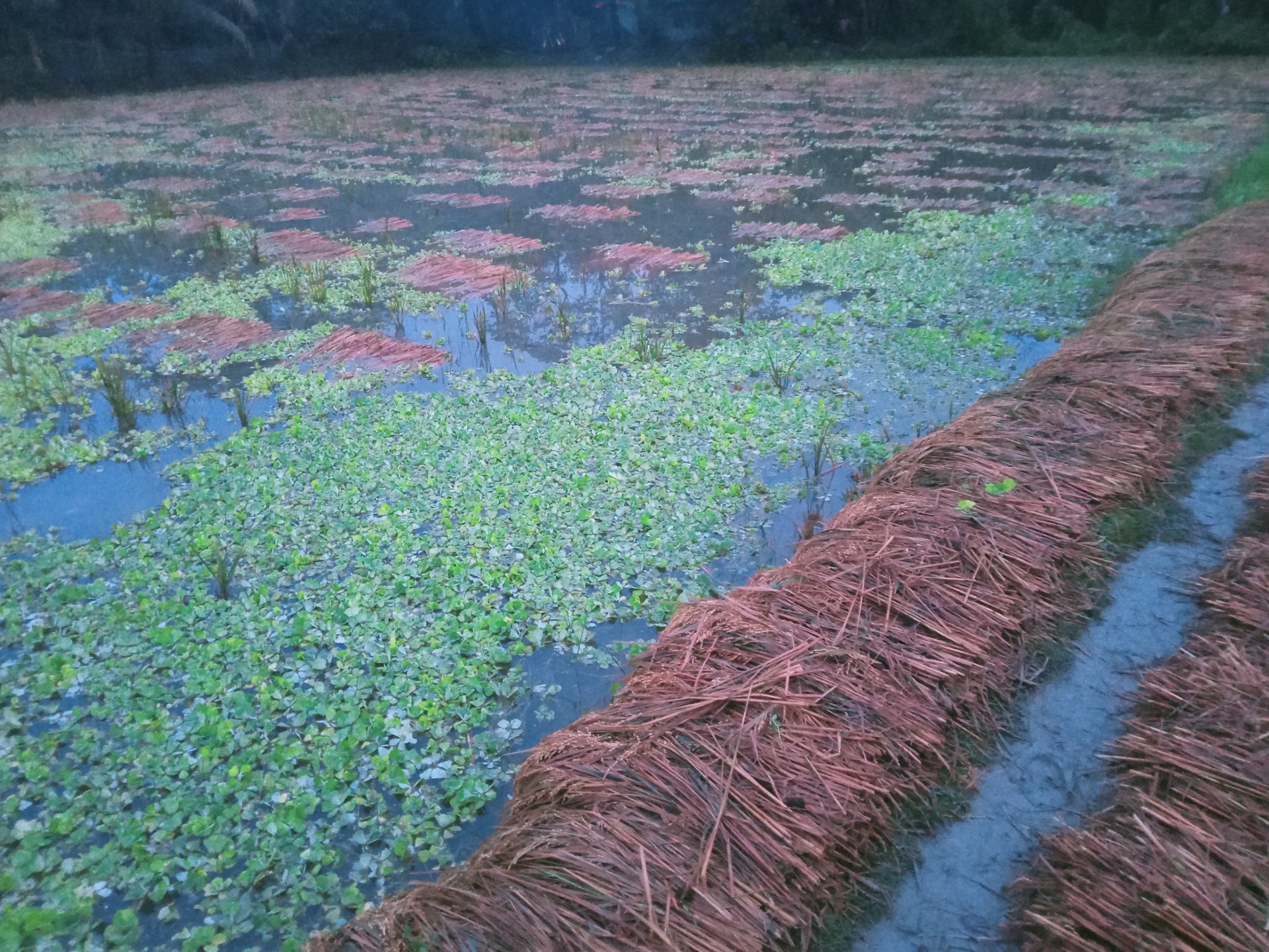 6b9ebe94-d0e6-45ed-91e6-ca7293af9e0b